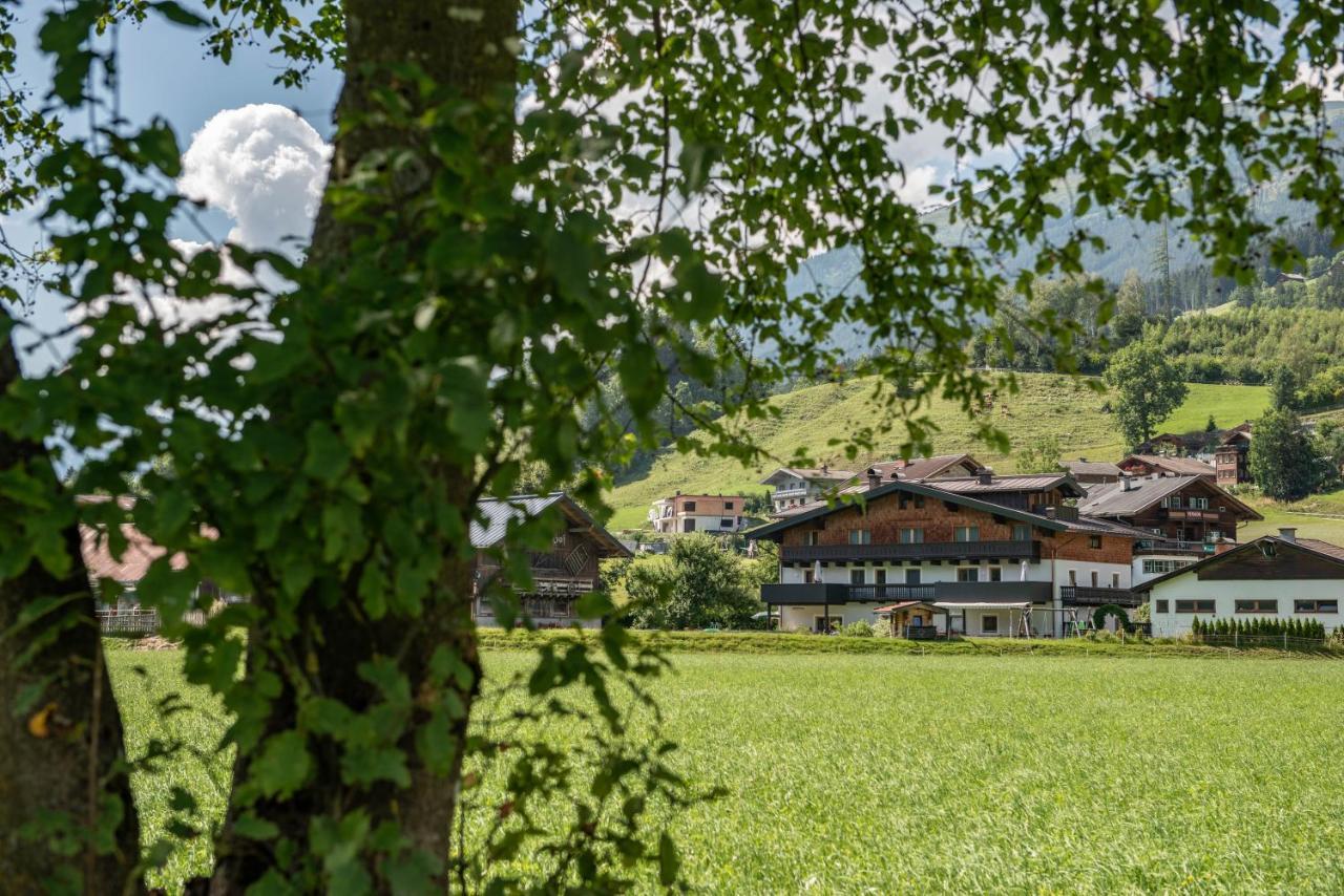 Gaestehaus Dreier Нойкирхен-ам-Гросфенедигер Экстерьер фото